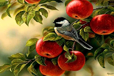 Birds: Bird Apple Tree Apples Leaves Beautiful Paintings Painting ...