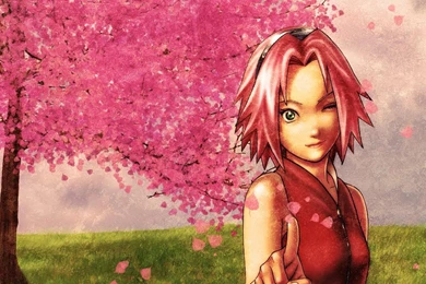 Haruno Sakura Naruto Shippuden Anime Girls
