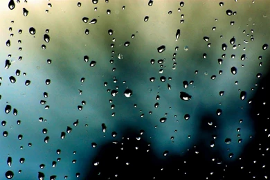 Water Drop Wallpapers