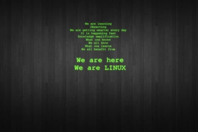 Linux,tux Linux Tux Console Infographics Command 1600x1000 ...