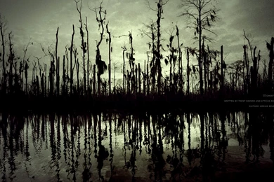 NIN Industrial Metal Alternative Rock Nine inch nails Nine Inch ...