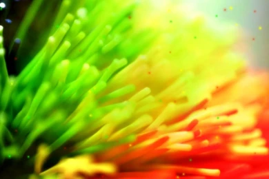 Use Animated Gif As Desktop Backgrounds Mac