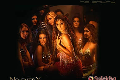 No Entry Hindi Movie HD Wallpapers 1