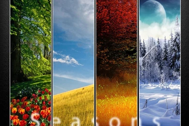 Seasons Wallpapers By Dranton17 On DeviantArt