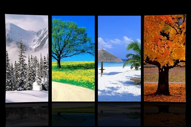 Four Seasons Wallpapers