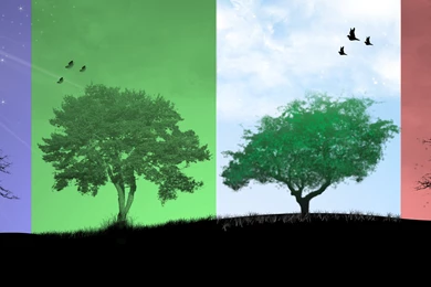 4 Seasons By Dj004 On DeviantArt