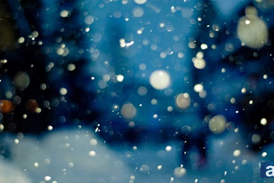 Adventure Journal – Wallpapers Wednesday: Whistler Snowfall