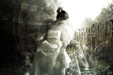 Fallen Angel Backgrounds Wallpapers Cave