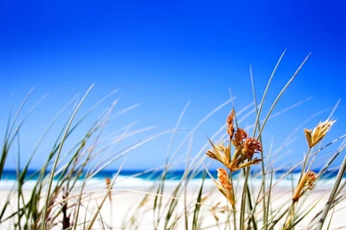 Beautiful Beach Big Blue Sky 1920x1080 HD Wallpapers Sunny Beaches ...