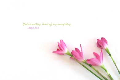 Best quote wallpapers 2 10622 HD Wallpapers