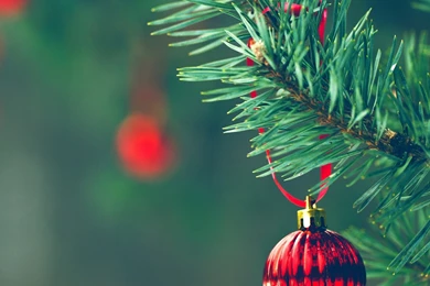 1 iPad retina wallpaper hd red ball holidays.jpg