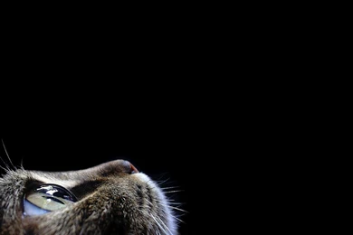 Modern Black Wallpapers HD