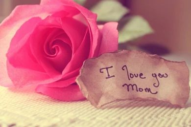 Backgrounds Love Wallpapers Free Download HD Great Images