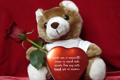 Love Images Download Collection (40+)