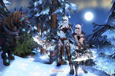 Shikoku Wallpapers With Invincible By Shyama88 On DeviantArt