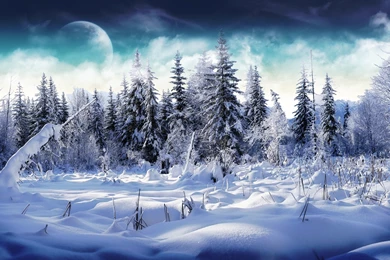 Widescreen Winter Wallpapers