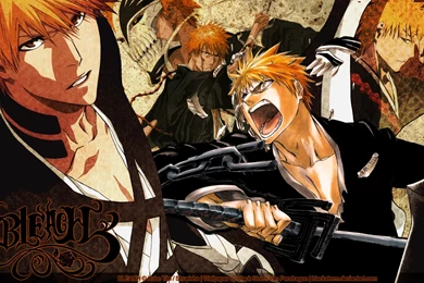 Bleach Wallpapers Ichigo