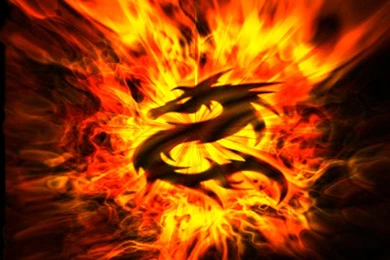Fire Dragon HD Backgrounds Wallpapers 1781 HD Wallpapers Site