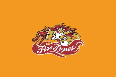 Fire Pokemon Wallpapers Wallpapers Cave