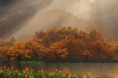 Index Of /wallpaper/2008 (1600 X 1200 Dual Split Collection) (153 ...