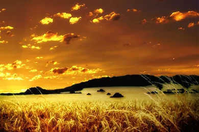 Wallpapers Indian Summer Indian Summer Free Desktop Wallpapers