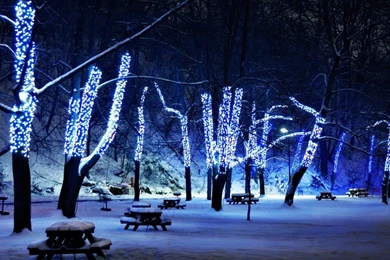 Cool Christmas Lights Wallpapers Hd Wallpapers