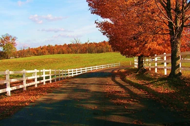 Beautiful Fall Wallpapers Autumn Wallpapers 15496207 Fanpop