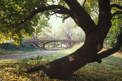 New Wallpapers For Desktop Wallpapers Cave