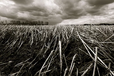 HD Wallpapers: High Definition Wallpapers 14