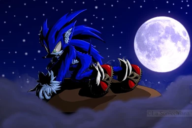 Sonic The Werehog Favourites By Kwhittski On DeviantArt