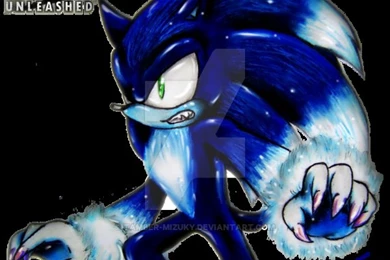 Sonic The Werehog:. By Tamber mizuky On DeviantArt
