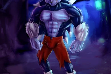 Sonic The Werehog By Bleakcat On DeviantArt