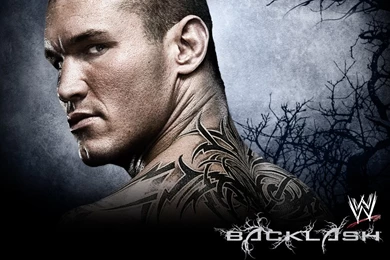 Beautiful Wallpapers: Wrestling Wallpapers