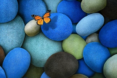 Free 1600X1280 Orange Butterfly On Blue Stones 1600x1280 Wallpapers ...