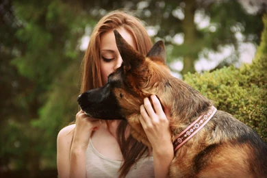 10 Facts About German Shepherd Dog You Need To Know ...