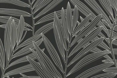 Michalsky Wallpapers Metropolis 939384 93938 4 Palm Springs Black ...