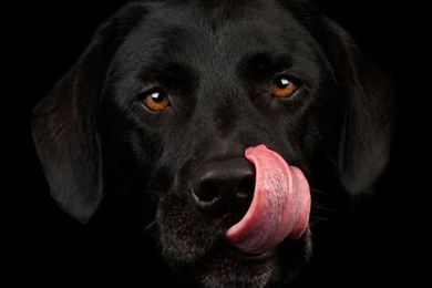 Smartphone Wallpapers Phone Hd Wallpapers Iphone Wallpapers Gallery ...