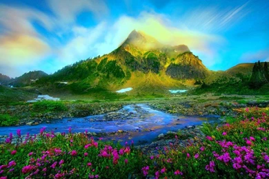 Nature Landscape Wallpapers Hd Widescreen Wallpapers Nature ...
