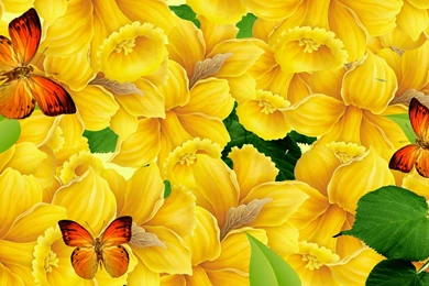 Awesome Colorful Butterflies HD Backgrounds