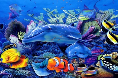 Amazing HD Sea Fish Wallpapers Collection. Remix Video