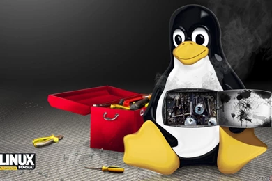 Information, Linux Tux Wallpapers 1680x1050