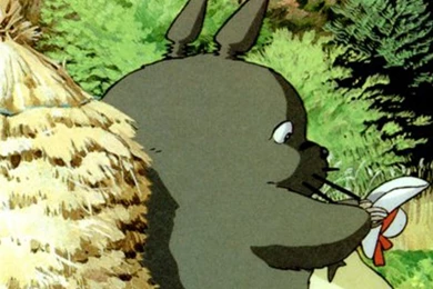 My Neighbor Totoro Wallpapers Iphone Desktop Background