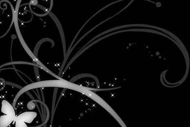 Black And White Butterfly Wallpapers Wallpapers High Definition