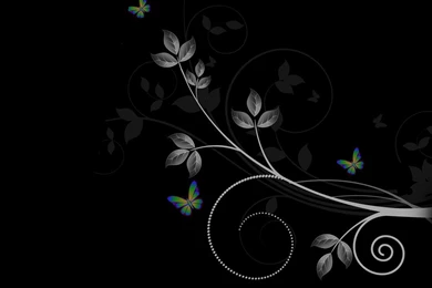 1388) Black Butterfly Photo Wallpapers WalOps.com