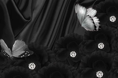 1385) Black Butterfly Picture Wallpapers WalOps.com