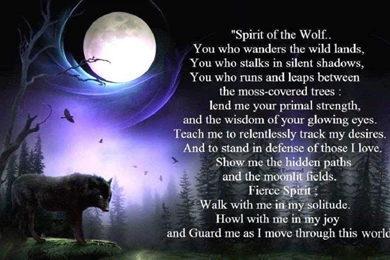 Wolf Prayer 1234129 Wallpapers (