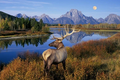 National Park Grand Teton National Park Hd Wallpapers – Widescreen ...