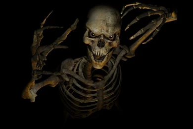 Animated Halloween Wallpapers Gif Halloween Animated Gifs ...