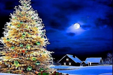 Nice Mobile Wallpapers Widescreen HD Wallpapers