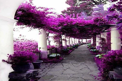 Nice Wallpapers Wallpapers 39KR WALLEO.CO WALLEO.CO